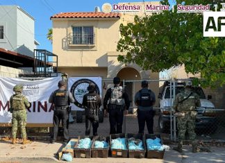 Aseguran en Baja California más de 100 kilos de pastillas de fentanilo