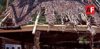 Envían a prisión a seis detenidos en campamento delictivo descubierto en Zapopan