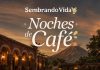 Cafeticultores de Cuauhtémoc presentarán sus productos en las “Noches de Café” en Chiapa