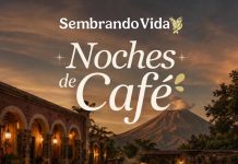 Cafeticultores de Cuauhtémoc presentarán sus productos en las “Noches de Café” en Chiapa