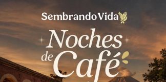 Cafeticultores de Cuauhtémoc presentarán sus productos en las “Noches de Café” en Chiapa