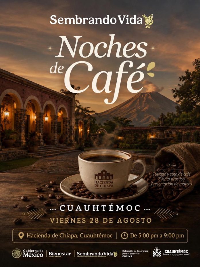 cateticultores chiapa noches de cafe