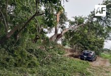 Protección Civil Comala mantiene labores tras tormenta; advierten por más lluvias