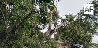 Protección Civil Comala mantiene labores tras tormenta; advierten por más lluvias