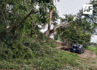 Protección Civil Comala mantiene labores tras tormenta; advierten por más lluvias