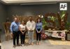 Colaboradores de la Coordinación General de Vinculación participan en el 1er Foro Artesanal «Sembrando Vida Colima»