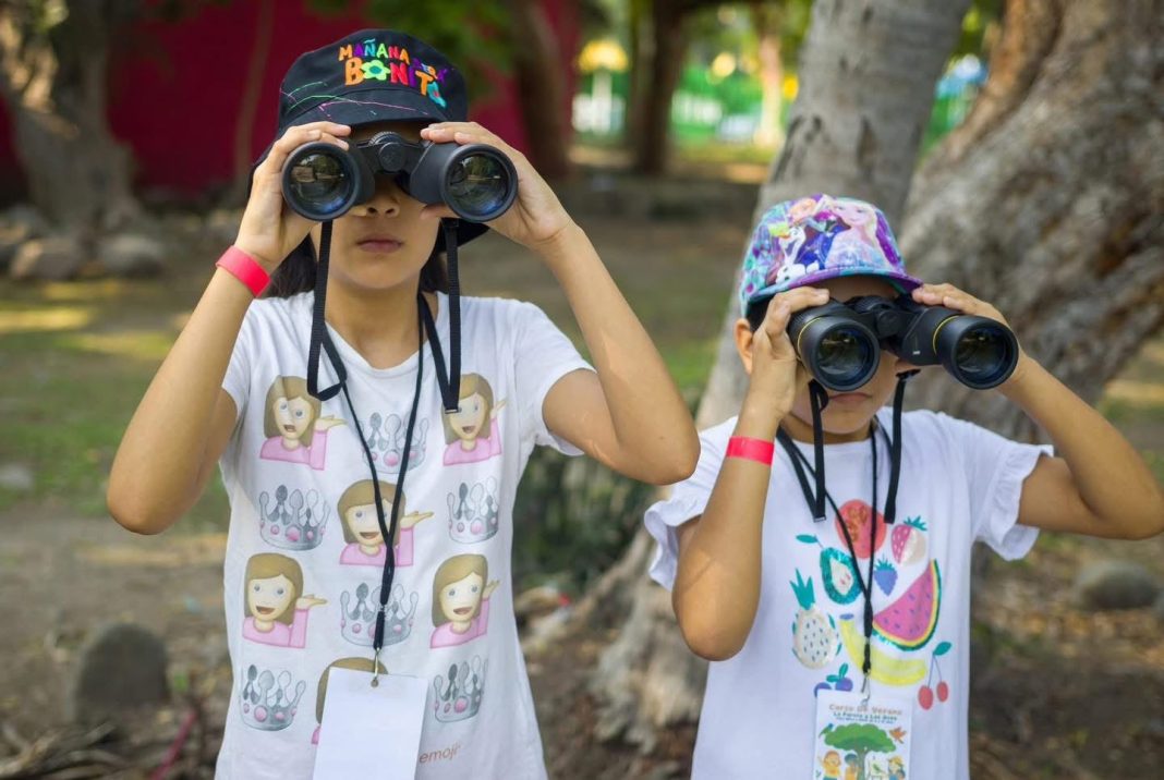 cursos de verano gobierno del estado 02