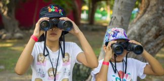 Cursos de verano gratuitos para niñas y niños