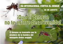 IMSS Colima refuerza prevención ante riesgo de dengue por temporada de lluvias