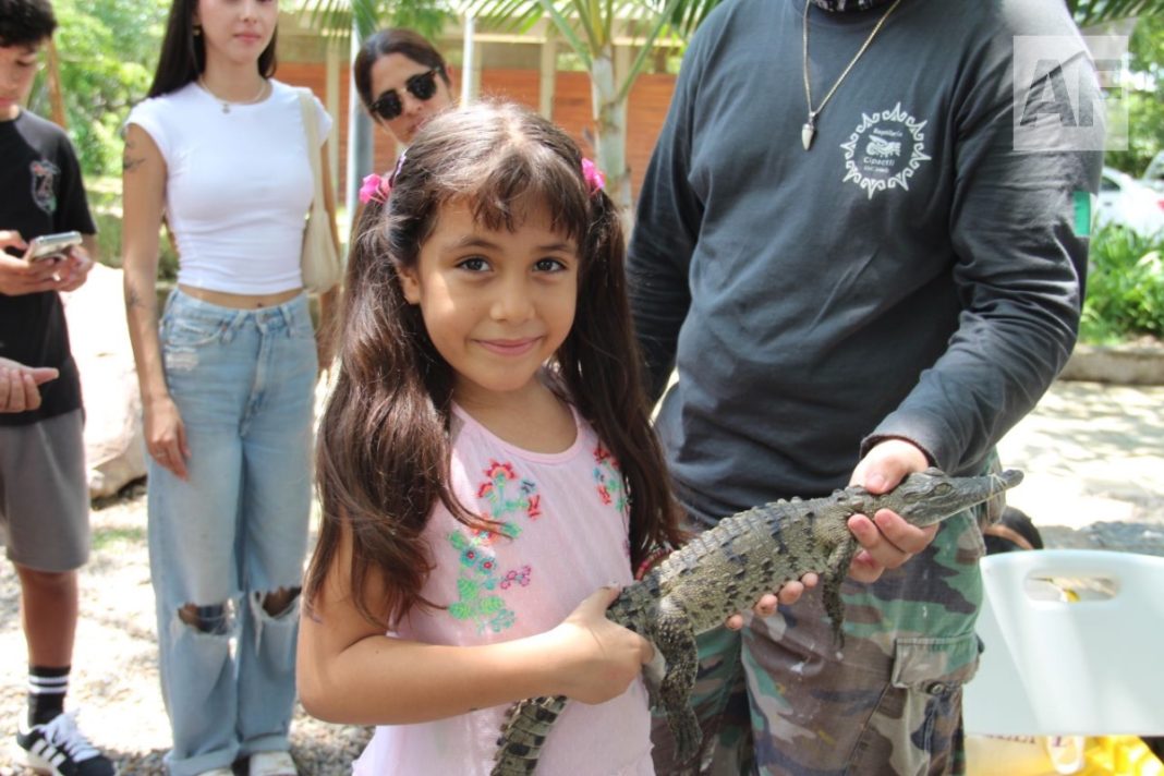 festival-cocodrilo-Puerto-Vallarta-jalisco_2