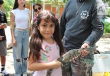 Más de 600 personas participan en Festival del Cocodrilo en Puerto Vallarta