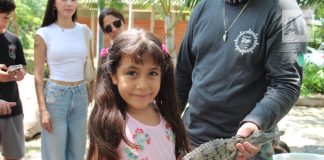 Más de 600 personas participan en Festival del Cocodrilo en Puerto Vallarta