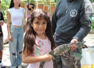 Más de 600 personas participan en Festival del Cocodrilo en Puerto Vallarta