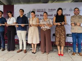 Impulso Joven cuenta con una bolsa de 3 MdP para respaldar proyectos juveniles: SEFIDEC