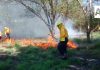 Brigadistas colimenses combatirán incendios forestales en Canadá, informa Subseder