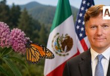 Christopher Landau destaca cooperación entre México y EU en medio de tensión por visa de hijo de AMLO