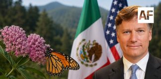 Christopher Landau destaca cooperación entre México y EU en medio de tensión por visa de hijo de AMLO