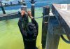 Marina supervisa 16 estaciones de la Red Mareográfica Nacional en el Golfo de México y Mar Caribe