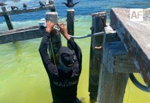 Marina supervisa 16 estaciones de la Red Mareográfica Nacional en el Golfo de México y Mar Caribe