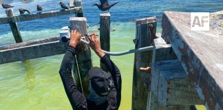 Marina supervisa 16 estaciones de la Red Mareográfica Nacional en el Golfo de México y Mar Caribe