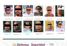 Detienen a 12 personas vinculadas con extorsión al sector aguacatero en Michoacán