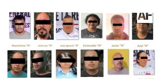 Detienen a 12 personas vinculadas con extorsión al sector aguacatero en Michoacán