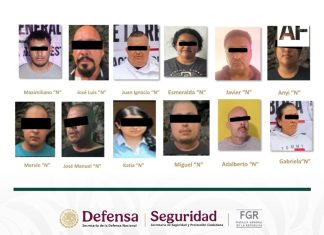 Detienen a 12 personas vinculadas con extorsión al sector aguacatero en Michoacán