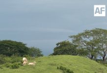 Lluvias muy fuertes y oleaje de hasta 2 metros se prevén este martes en Colima