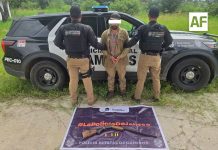 Detienen en Atoyac a sujeto con escopeta y un armadillo sin vida