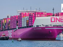Puerto de Manzanillo movilizó 2.4 millones de TEU’s en primeros 7 meses de este año