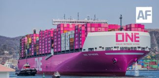 Puerto de Manzanillo movilizó 2.4 millones de TEU’s en primeros 7 meses de este año