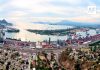 Puerto de Manzanillo reporta incremento de 24% en movilización de granel agrícola durante primer semestre de 2026