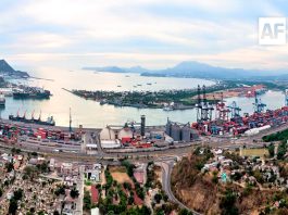 Puerto de Manzanillo reporta incremento de 24% en movilización de granel agrícola durante primer semestre de 2026