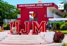 Universidad José Martí ofrece Doctorado en Educación en modalidad en línea