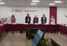 Investigadora de la UdeC será consejera titular de la Representación Académica en el Consejo Nacional Forestal
