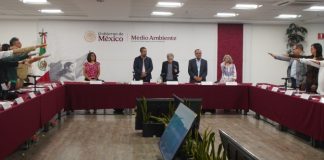Investigadora de la UdeC será consejera titular de la Representación Académica en el Consejo Nacional Forestal