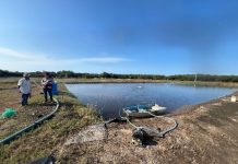 Conagua recupera más de 1.2 millones de metros cúbicos de agua en Colima