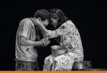 Cultura Colima y Favic invitan a 5 funciones gratuitas en el Teatro Hidalgo