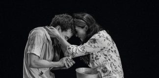 Cultura Colima y Favic invitan a 5 funciones gratuitas en el Teatro Hidalgo