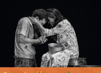 Cultura Colima y Favic invitan a 5 funciones gratuitas en el Teatro Hidalgo