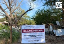 Imades Colima clausura actividades en un predio de Manzanillo por posibles incumplimientos ambientales