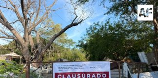 Imades Colima clausura actividades en un predio de Manzanillo por posibles incumplimientos ambientales