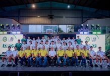 Loros de futbol profesional retoman el vuelo