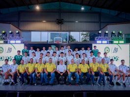 Loros de futbol profesional retoman el vuelo