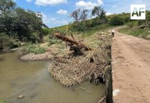 Zapotlanejo registra 90% de avance en limpieza de viviendas afectadas por inundaciones