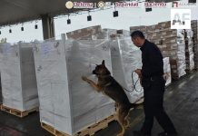 Aseguran 1.3 toneladas de metanfetamina y 10 kilos de fentanilo en Aduana de Tijuana