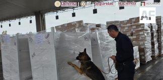 Aseguran 1.3 toneladas de metanfetamina y 10 kilos de fentanilo en Aduana de Tijuana