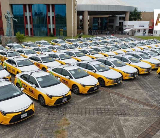 Indira Vizcaíno entregó permisos de operación a 123 nuevos taxis ecológicos en Colima