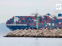 Puerto de Manzanillo moviliza 2.8 millones de TEU’s en los primeros ocho meses del año
