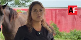 Universidad José Martí impulsa desarrollo humano y rehabilitación mediante terapia asistida con caballos